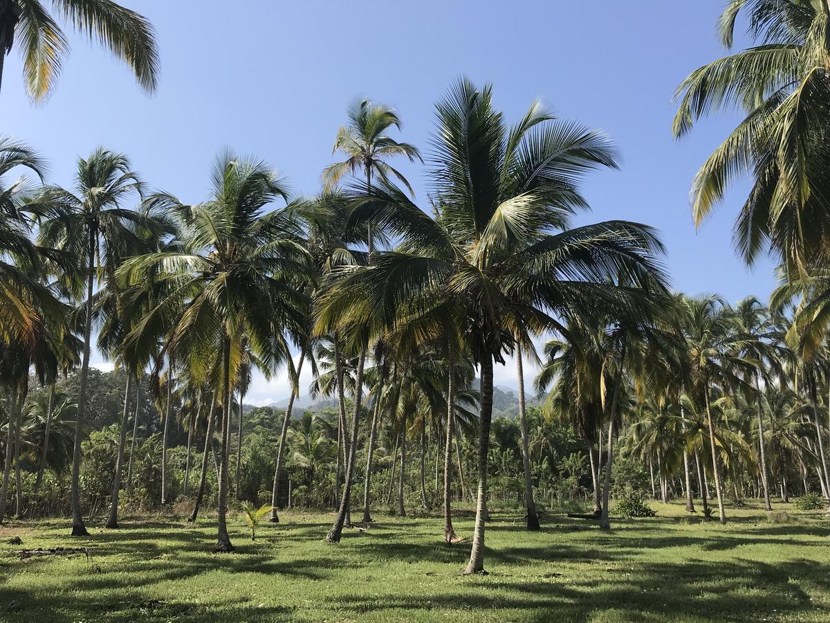 Playa Pikua Ecolodge Guachaca Екстер'єр фото